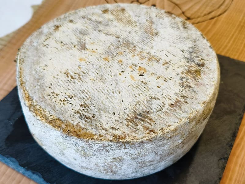 tome de l'Isoard
fromage des Hautes-Alpes